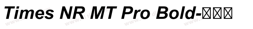 Times NR MT Pro Bold字体转换